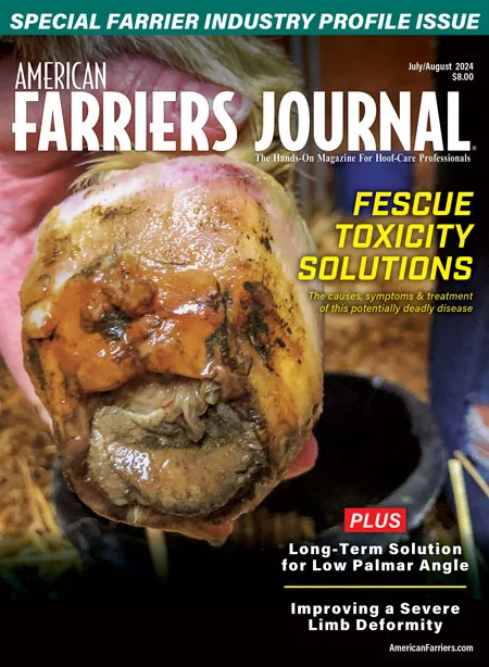 Cover_AFJ_0724.jpg